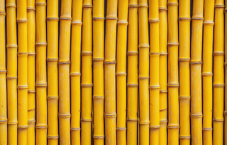 Natural bamboo color